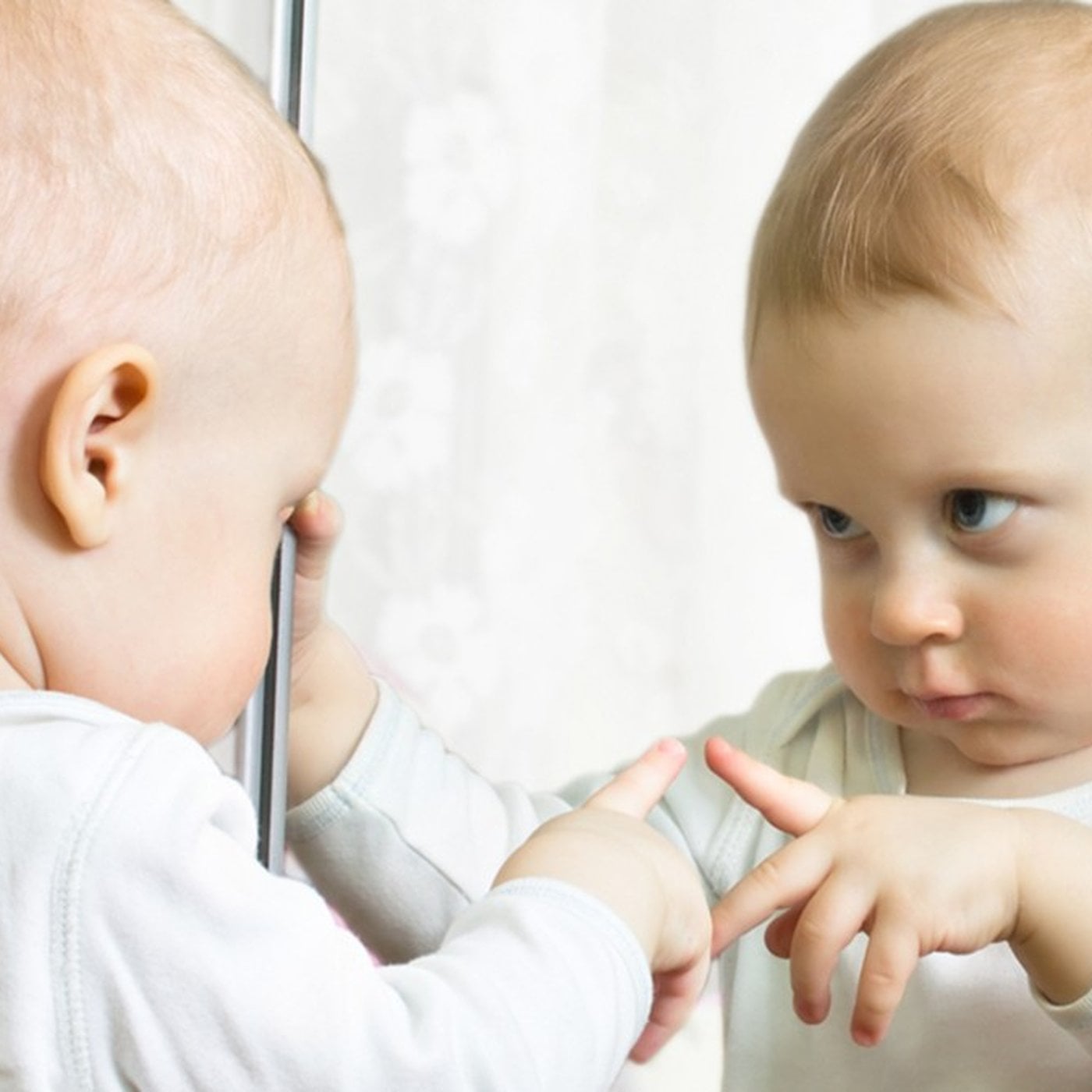 Evrim Ağacı ile Bilime Dair Her Şey!