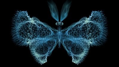 Kaos Teorisi Nedir? Doğadaki Kaostan Söz Ederken Neyi Kastediyoruz?