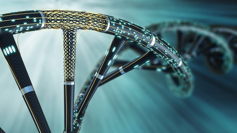 Ekoloji Araştırmalarında Hangi Moleküler Teknikler ve Genetik Belirteçler Kullanılır?