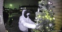 Real-life Grinch captured stealing Christmas tree from doorstep