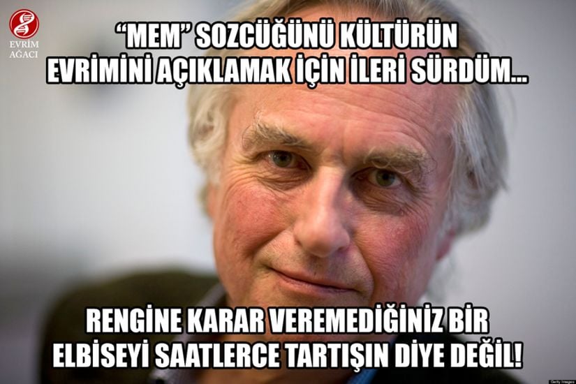 Memler ve Dawkins