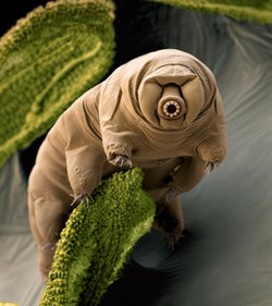 Uzaylıları bulursak onları nasıl tespit edebileceğiz?