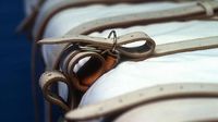 Tennessee inmate executed with heart device was not shocked, attorney says