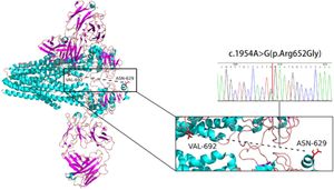 New Genetic Insights Into Cholestasis Of Pregnancy Uncovered