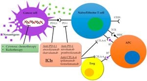 Combining Immune Checkpoint Therapy And Surgery Enhances Outcomes