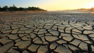 Sicily Faces Dire Drought Crisis Impacting Residents And Farmers