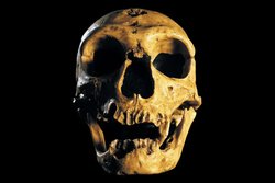 Erken Kalkmayı Seviyorsanız Sebebi Neandertaller Olabilir!