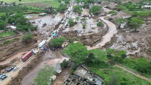 Southern Africa Faces Severe Weather Crisis Amid Flooding