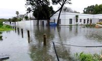 Western Cape braces for rough weekend of winds, waves and weather warnings