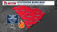 Statewide Burning Ban in effect in South Carolina until further notice