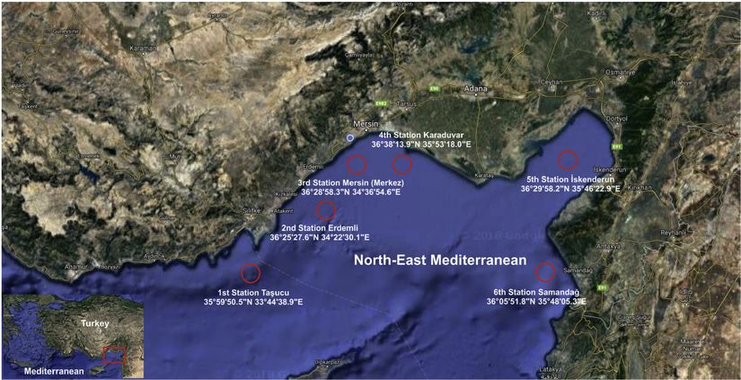 Balık örneklerinin toplandığı istasyonlar