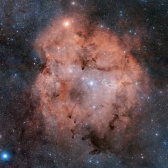 IC 1396: Emission Nebula in Cepheus