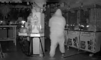 Labubu dolls worth ₹26 lakh stolen from LA store - CNBC TV18