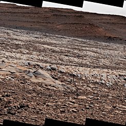  The Gator-Back Rocks of Mars 
