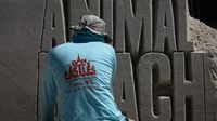 'Animal Beach' brings 'Muscle Beach' spring break energy to Panama City Beach