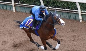 Long Run Triumphs At 2025 Kokura Kinen Stakes