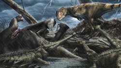 Fas'taki Kaya Oluşumları Dünya'nın En Yırtıcı Hayvan Fosillerini Barındırıyor!