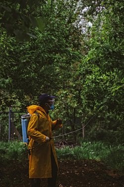 Yaşadığımız yüzyılda insan ömrünün ortalaması hangi yöne evriliyor ve gıdalarda kullanılan kimyevi maddelerin insan ömrüne etkisi nedir?