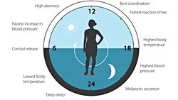 Sosyal Yaşam Biyolojik Saatimizi Nasıl Etkiler?