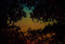 Merkür Hilal Venüs İle Buluşuyor