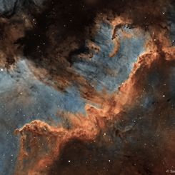  The Cygnus Wall of Star Formation 