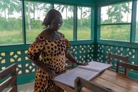 Reed, Amo in West Africa to rebuild relationships amid Trump foreign policy turmoil - The Boston Globe