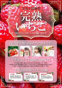 4月6日（日）名古屋戦　「平塚土屋農場 完熟いちご販売ブース」出店！ «  湘南ベルマーレ公式サイト