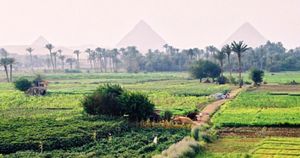 Egypt Ramps Up Agricultural Development Initiatives