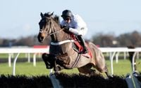 Constitution Hill next race: Punchestown on the agenda after Cheltenham fall