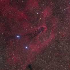 The Dark Tower in Scorpius