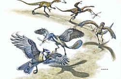 Ara Geçiş Türleri - 3: Sürüngenlerden Kuşlara Geçiş