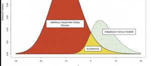 Popülasyona Giren Mutasyonlar ve Sabitlenme/Elenme Olasılıkları Üzerine...