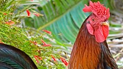 Üreme Organlarımız Hakkında 4 Şaşırtıcı Gerçek