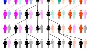 Evrimsel Bir Destan: Mitokondriyal Havva ve Y Kromozomu Ademi