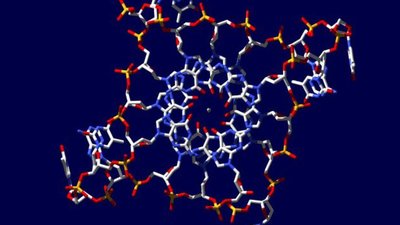 Dörtlü Sarmal (Heliks) DNA:  İnsan Genomunda Bulunan İlginç DNA Formu!