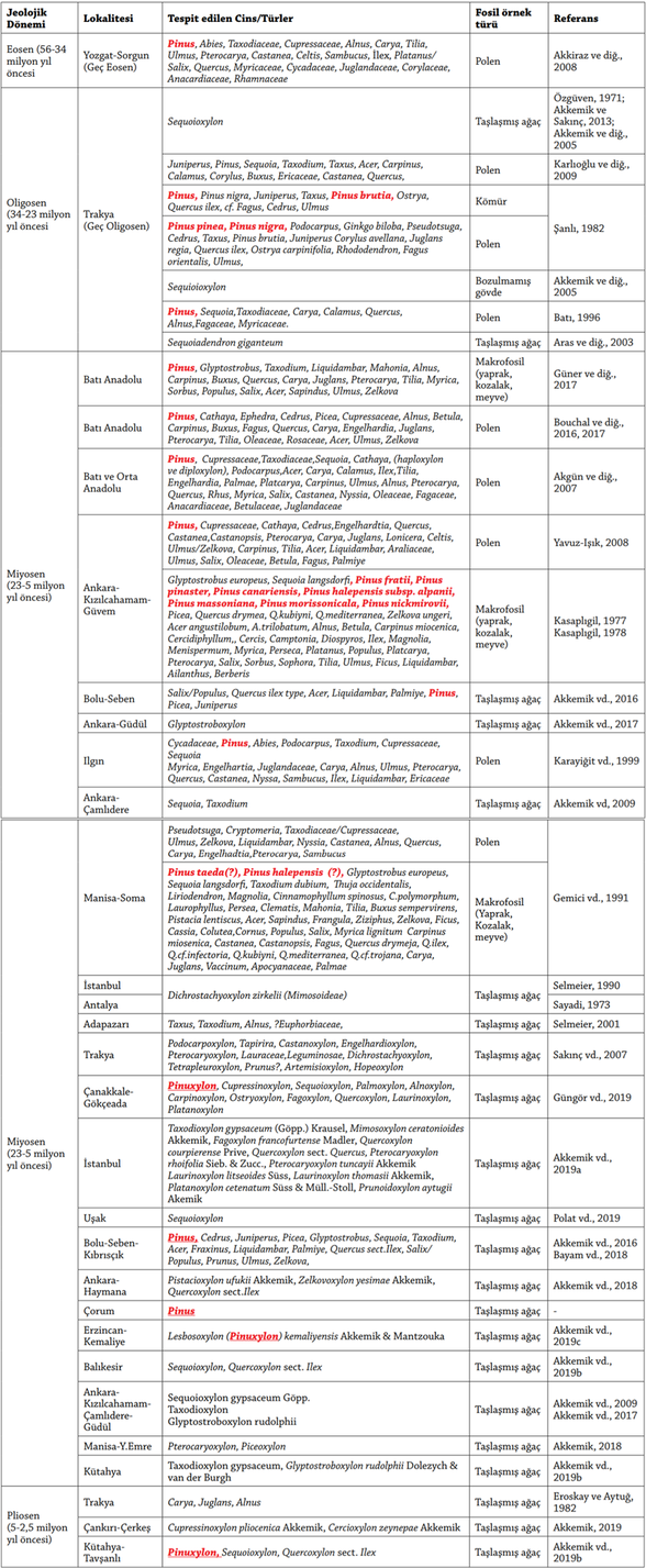 Pinus cinsi çam ağaçlarının varlığını gösteren akademik çalışmalar ve bulgularının özeti.