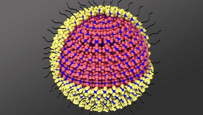 Kuantum Noktaları Nedir? Hangi Amaçla Kullanılır?