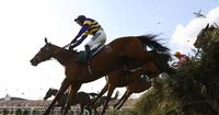 Grand National sweepstake kit - download and print for Aintree 2025