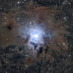 NGC 7023: İris Bulutsusu