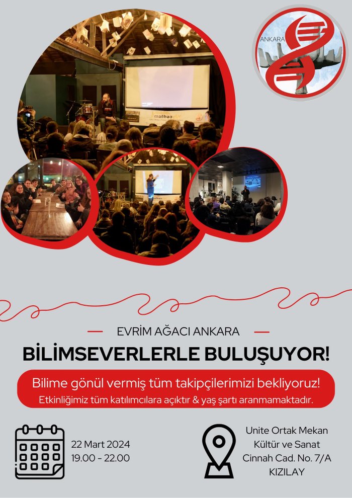 Evrim Ağacı Ankara Buluşması