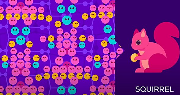 Dizilişini Karmaşık Yaparsak da Sincap Elde Ederiz