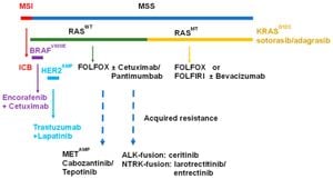 New Regorafenib And Sintilimab Combo Offers Hope For MSS MCRC Patients