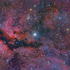  Central Cygnus Skyscape 