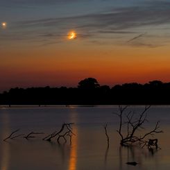 Planets over Pony Express Lake