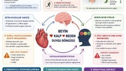 Kalbimiz Mi Hissediyor, Yoksa Beynimiz Mi?