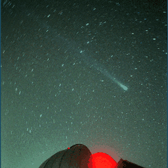 Latest Comet Hyakutake images:
