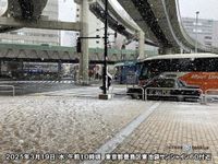 東京都心　午前中に0℃台　予想より気温下がり積雪も　午後は止むが北風強く体感冬(気象予報士 福冨　里香)