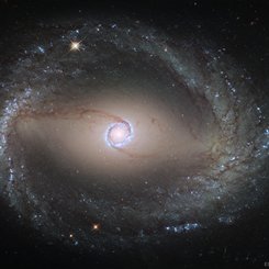  Spiral Galaxy NGC 1512: The Inner Rings 