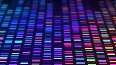 Pangenom Nedir? Pangenom Analizi Nasıl Yapılır ve Neden Önemlidir?