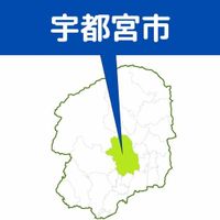 宇都宮の１歳児がはしか感染　ベトナムから11日に帰国　県内で患者確認は2019年以来｜下野新聞デジタル